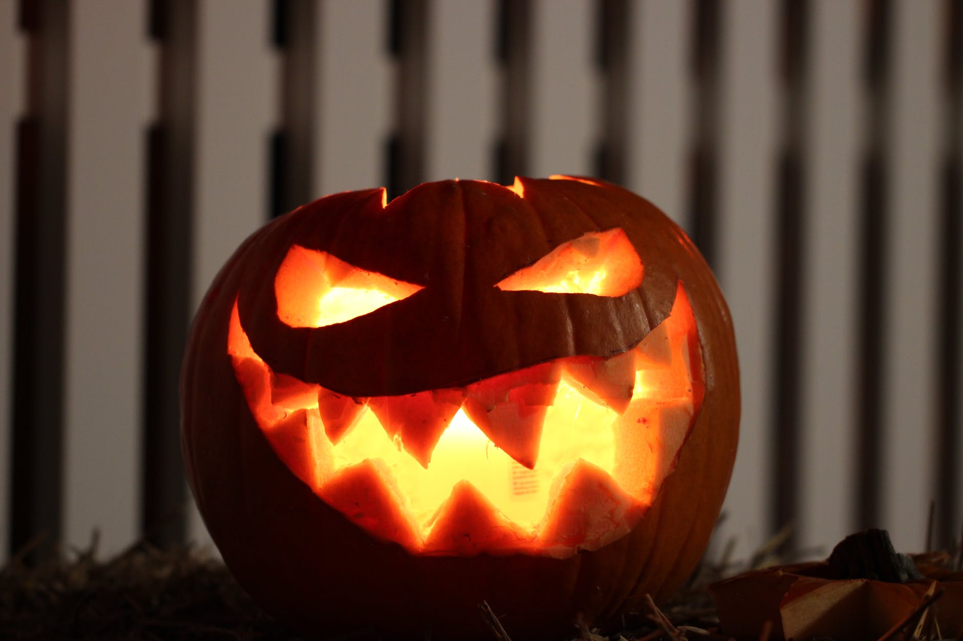 Halloween Haunts
